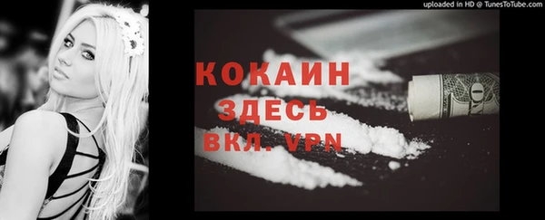 МДПВ Алексин