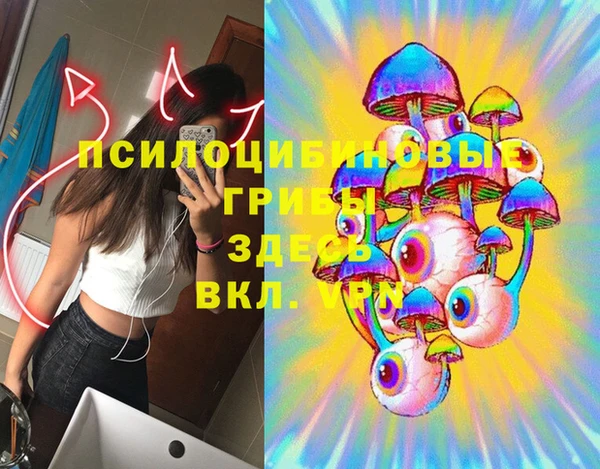 бошки Алзамай
