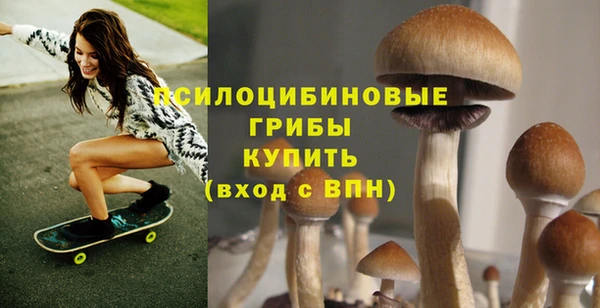 бошки Алзамай