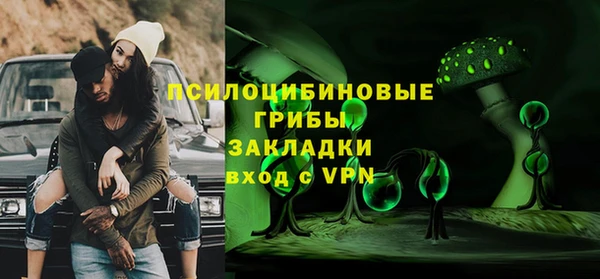 дурь Медвежьегорск
