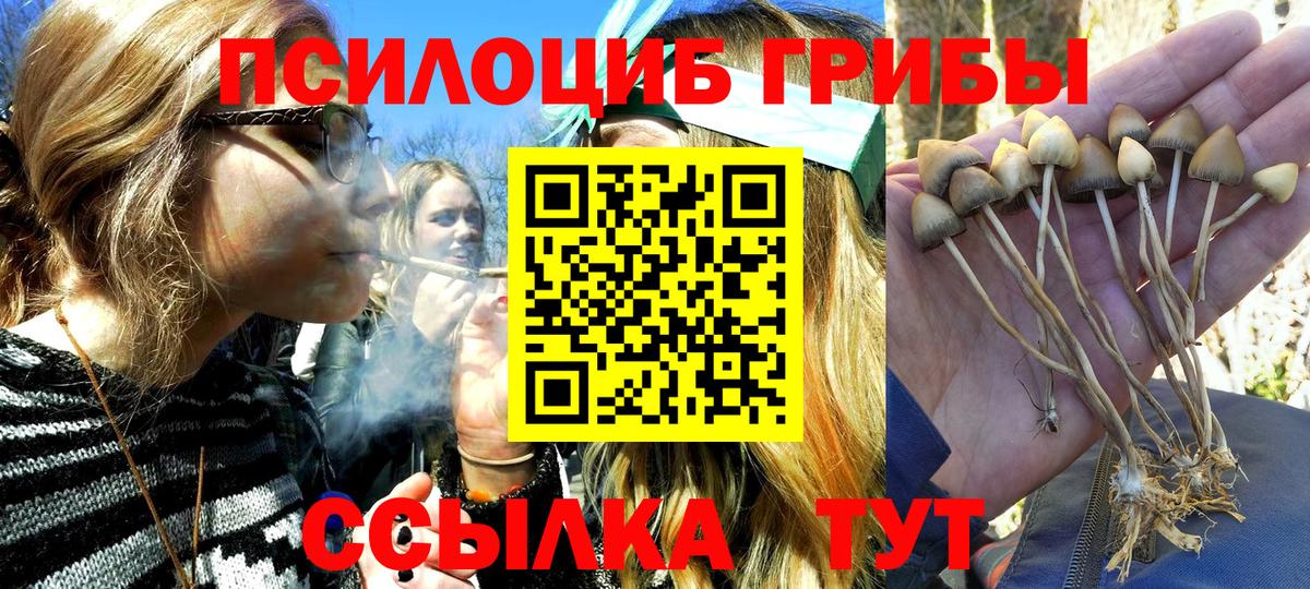 Галлюциногенные грибы мухоморы  Вход с VPN  купить наркоту  Керчь 